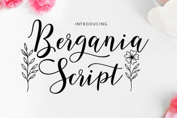 Bergania Script: A Versatile Font for Your Brand Story