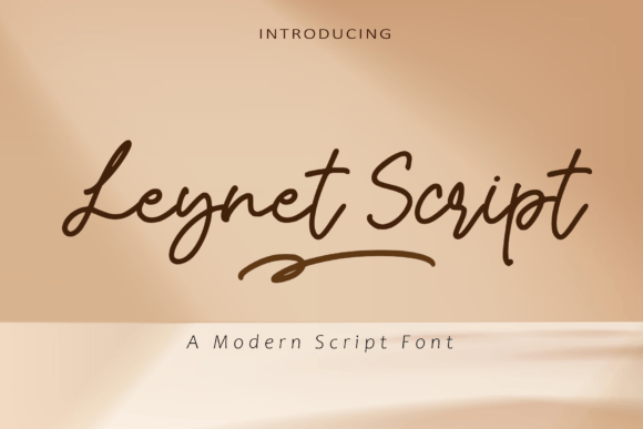 Choosing Leynet Script: A Font for Chic Digital Branding