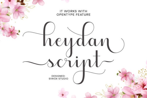 Heydan Script: A Marketing Designer's Campaign-Ready Font