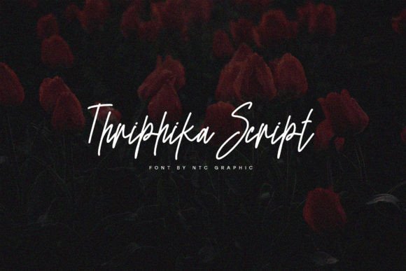 How Thriphika Script Can Improve Your Brand Identity